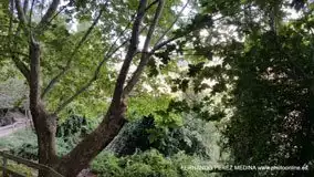 Roda de Bará, Tarragona, España