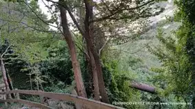 Roda de Bará, Tarragona, España
