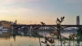 Paseo Alcalde Marqués del Contadero, Sevilla, España