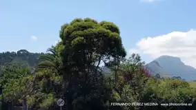 Santuario De Covadonga, Covadonga, Asturias, España