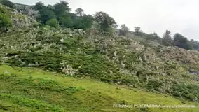 Lagos de Covadonga, Asturias, España