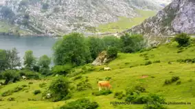 Lagos de Covadonga, Asturias, España
