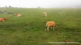 Lagos de Covadonga, Asturias, España