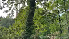 Santuario De Covadonga, Covadonga, Asturias, España