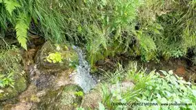 Valles Altos del Nansa y Saja y Alto Campoo, Cantabria, España