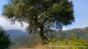 Monasterio de Santo Toribio de Liébana, Camaleño, Cantabria, España