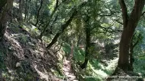 Cuevas del Pindal, Asturias, España
