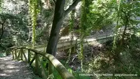 Cuevas del Pindal, Asturias, España