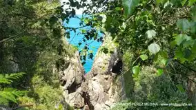 Cuevas del Pindal, Asturias, España