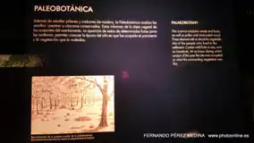 Museo Nacional y Centro de Investigación de Altamira, Santillana del Mar, Cantabria, España