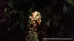 Calle Rey Francisco, 19, 28008 Madrid