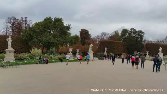 Jardin de las Tullerias, Rue de Rivoli, Paris, Francia 640w