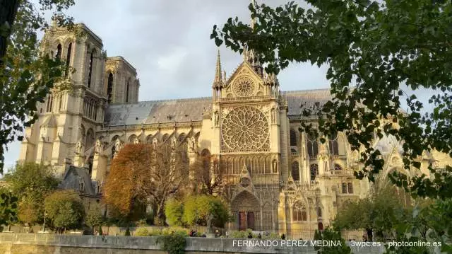 Catedral de Notre Dame, Parvis Notre Dame - Place Jean-Paul II, Paris, Francia 640w