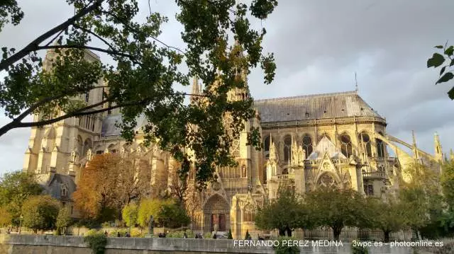 Catedral de Notre Dame, Parvis Notre Dame - Place Jean-Paul II, Paris, Francia 640w