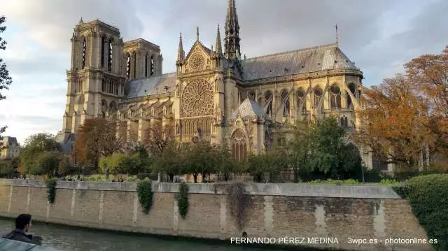 Catedral de Notre Dame, Parvis Notre Dame - Place Jean-Paul II, Paris, Francia 640w