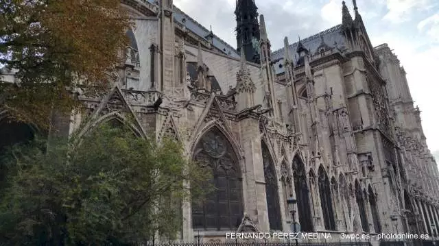 Catedral de Notre Dame, Parvis Notre Dame - Place Jean-Paul II, Paris, Francia 640w