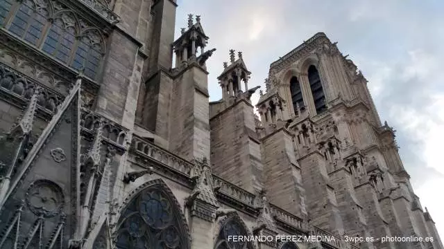 Catedral de Notre Dame, Parvis Notre Dame - Place Jean-Paul II, Paris, Francia 640w